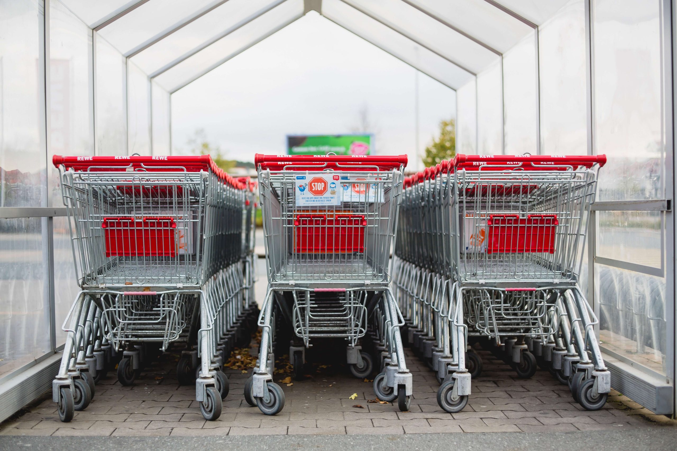 Smart weigh shopping cart